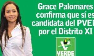 ¿Se tira al piso Elvia Graciela Plomares en busca de una candidatura?