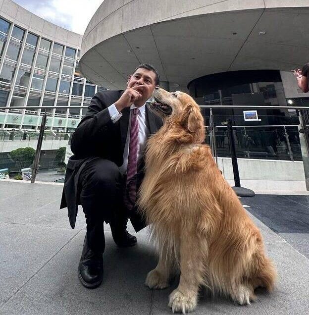 Estados deben garantizar Bienestar Animal; Alejandro Armenta.