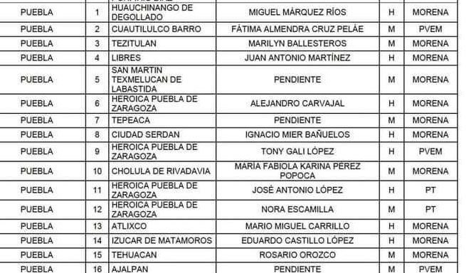 Ellas y ellos buscarán una Diputación Federal por Morena y aliados.