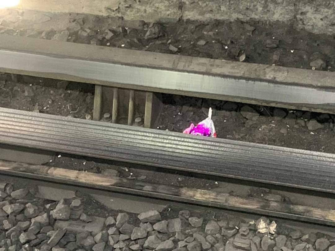 Un globo detiene el servicio del Metro CDMX.