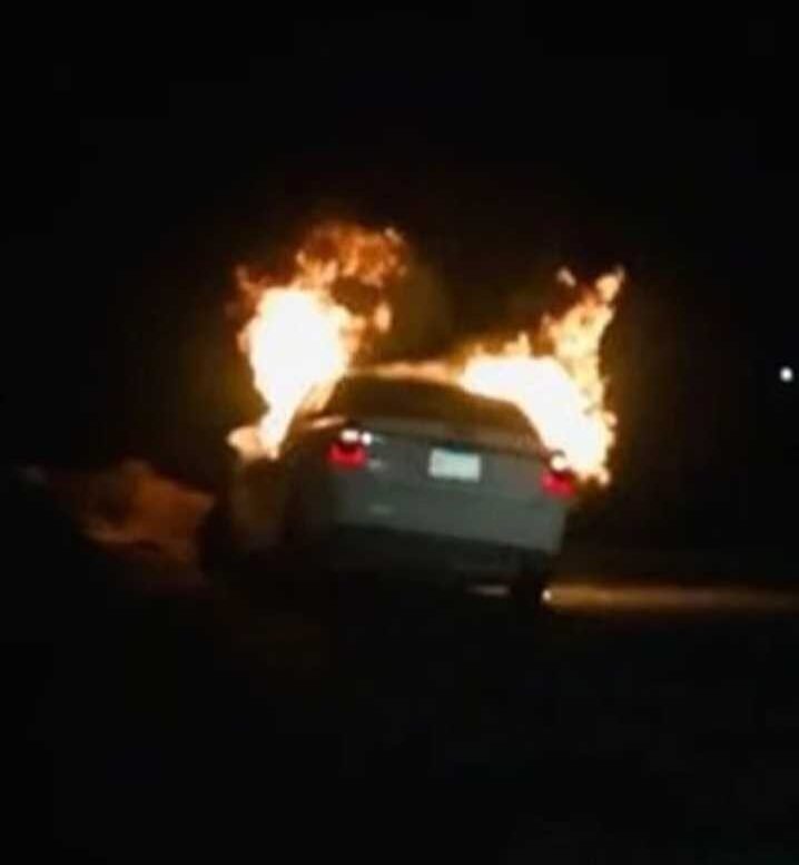 ¡Ah Perro! Policías dejan en libertad a “El Perro Chencho”