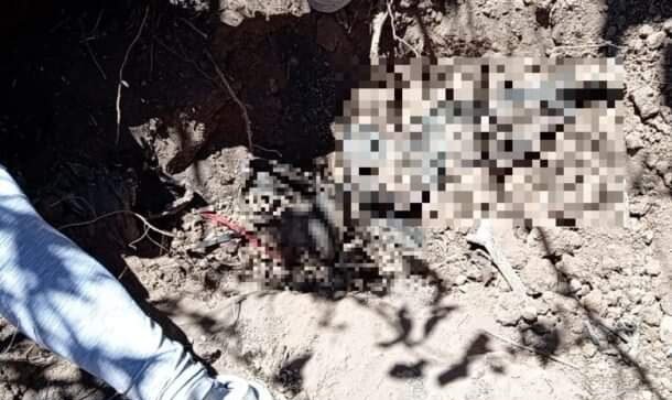 Colectivo Halla al Menos Cinco Cuerpos en una Fosa Clandestina en San Pedro Tlaquepaque.