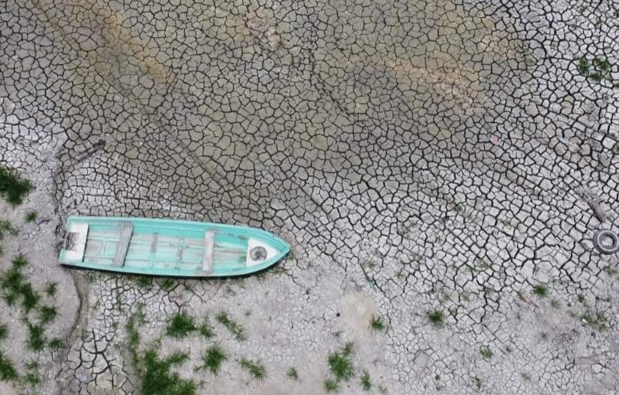 Advierten que Laguna de Cosamaloapan Está al Borde de la Extinción.
