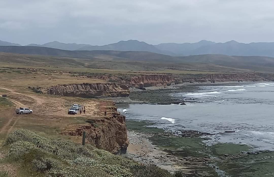 Hallan 3 Cuerpos en Zona en la que Desaparecieron Surfistas de Australia.