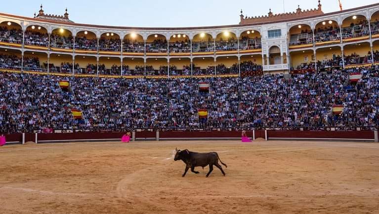 Tribunal Frena Suspensión Provisional Contra las Corridas de Toros en CDMX.