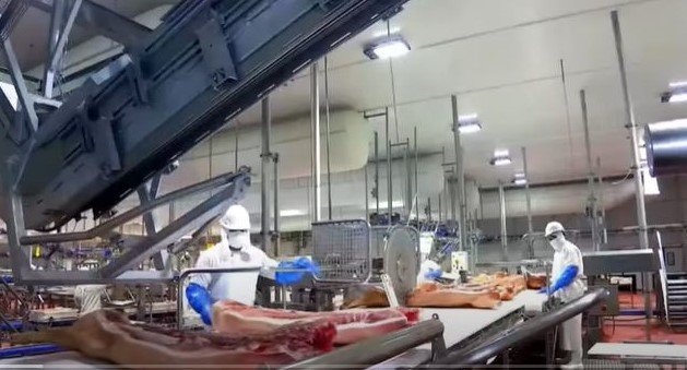 Contribuye Granjas Carroll a seguridad alimentaria en México.