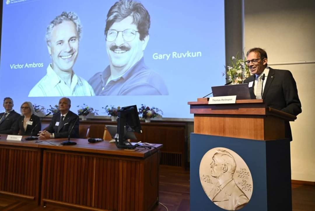 Victor Ambros y Gary Ruvkun ganan el Nobel de Medicina 2024 por el descubrimiento del micro-ARN.