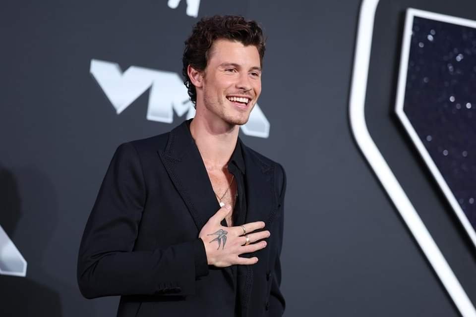 Shawn Mendes se Sinceró Sobre su Orientación Sexual.