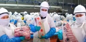 13 mil kilos de carne dona cada año Altosano-Granjas Carroll de México a grupos desprotegidos en Puebla