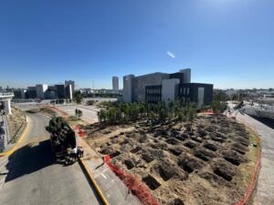 Inicia histórica reforestación de 10 mil árboles para renovar el Bosque Urbano