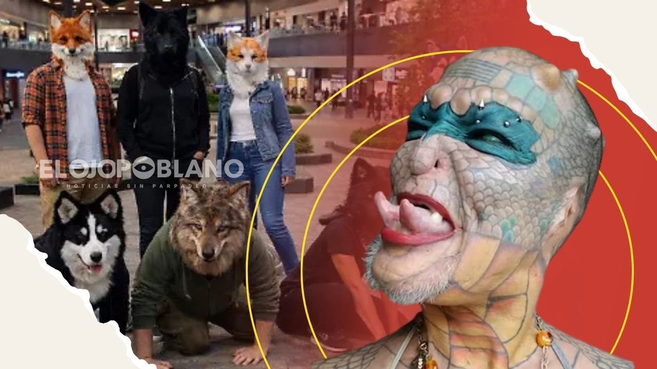 El verdadero Therian que no lo hizo por moda RIDICULOS