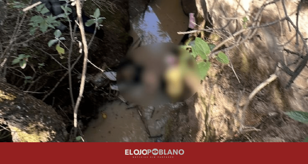 Localizan sin vida a Blanca Adriana Vázquez Montiel en Tlaxcala