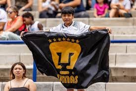 ¡Los Pumas salieron vivos!