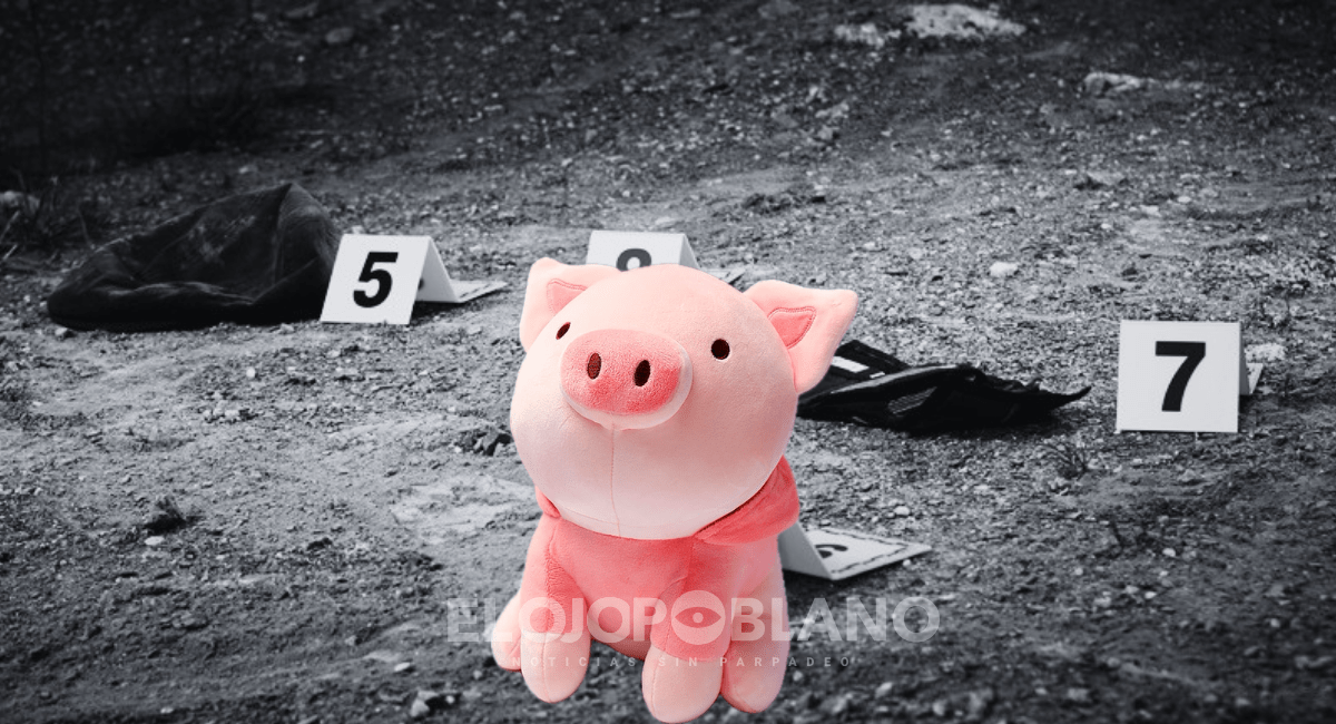 ¿Casualidad o firma criminal? Dejan cerdos rosados, pasen a leer