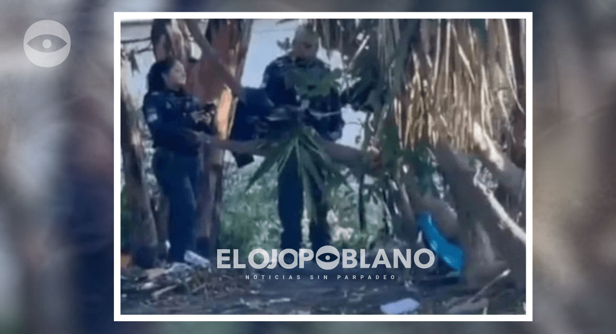 Lo reportan muerto pero se levantó y andó