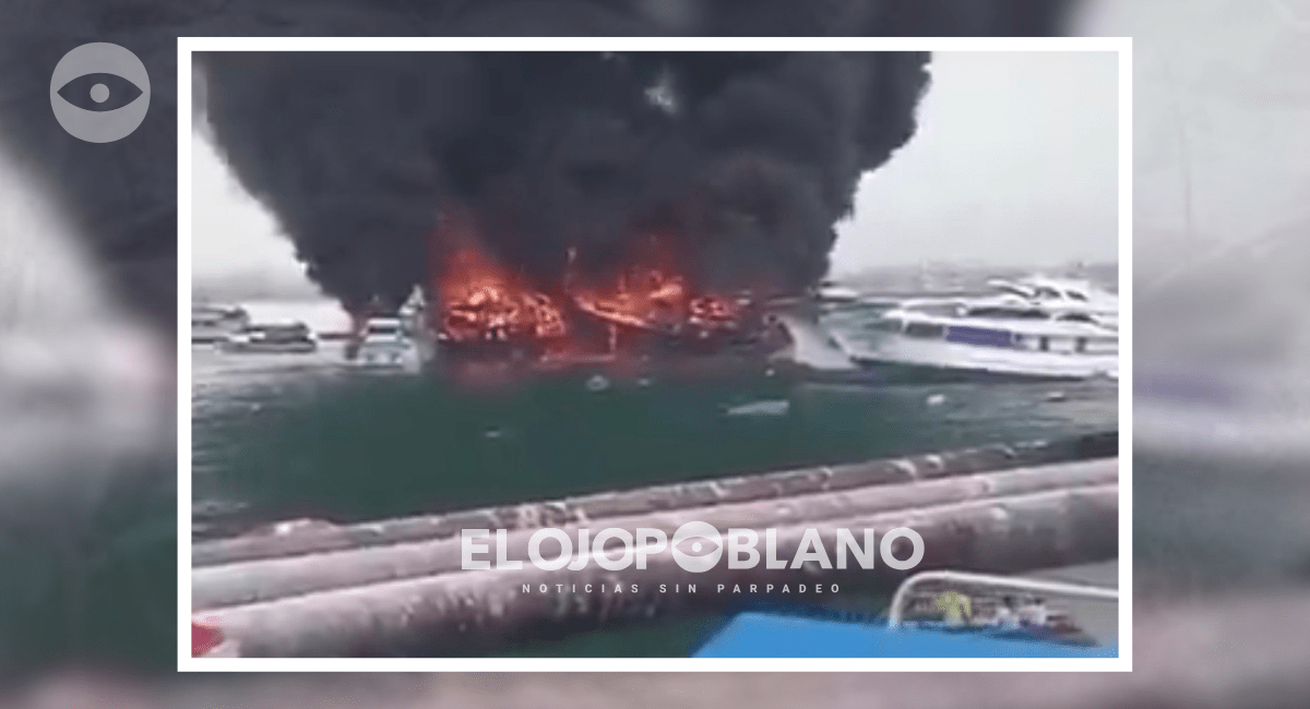 Las llamas regresan a Manta en Ecuador