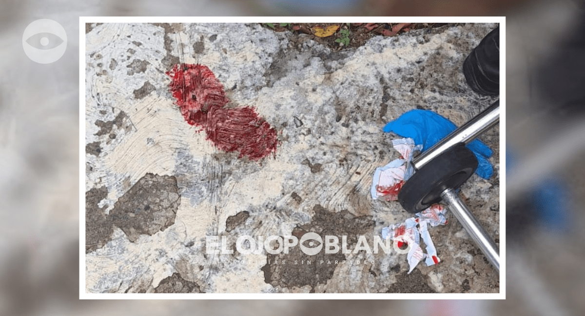 ¿Hasta cuándo el bullying será tomado en serio?