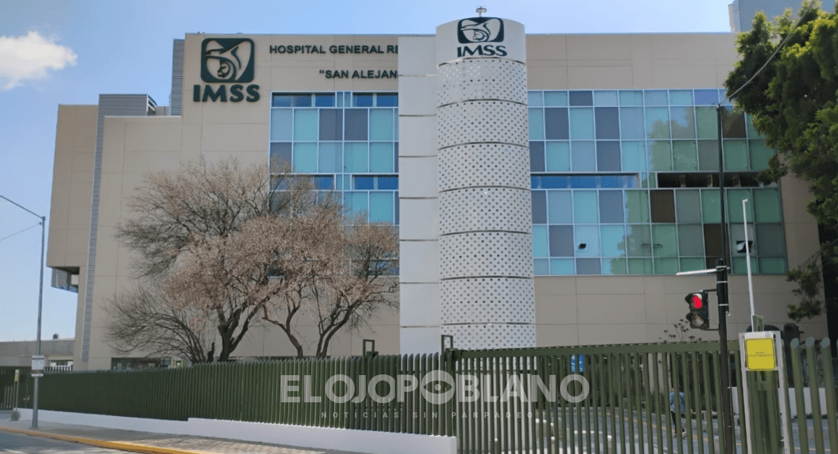 IMSS entre la desesperación y el abandono