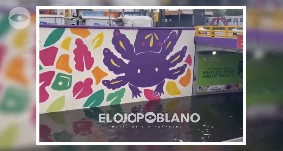 Ni Venecia se atrevió a tanto