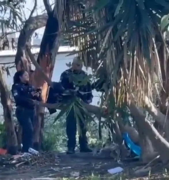 Lo reportan muerto pero se levantó y andó