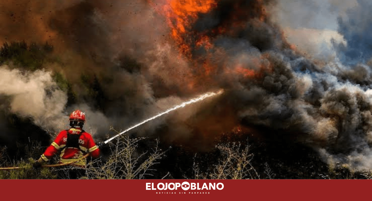 El fuego devora Europa: hectáreas perdidas y evacuaciones masivas