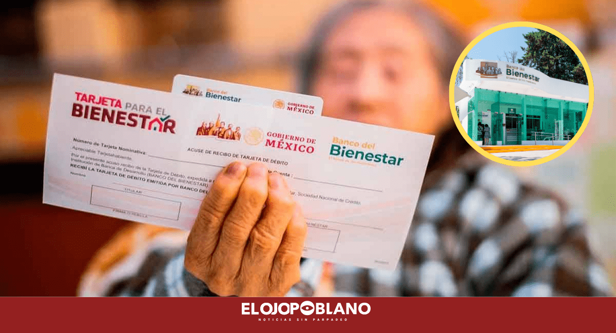 ¡M4lditos!, Ni la pensión de una abuelita respetaron