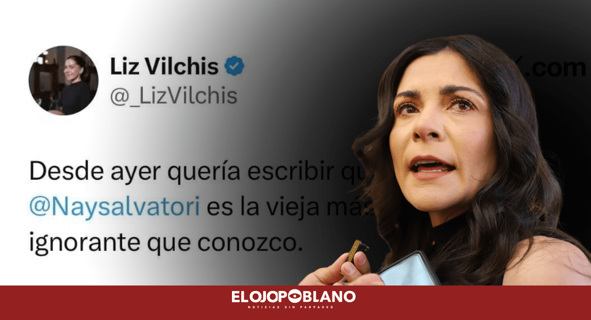 Vilchis quiso borrar el pasado y terminó exhibida por sus propias palabras