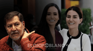 Noroña sale de abogado por el caso de Salvatori y Palomares
