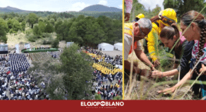 Sheinbaum inicia en Puebla la reforestación de todo México