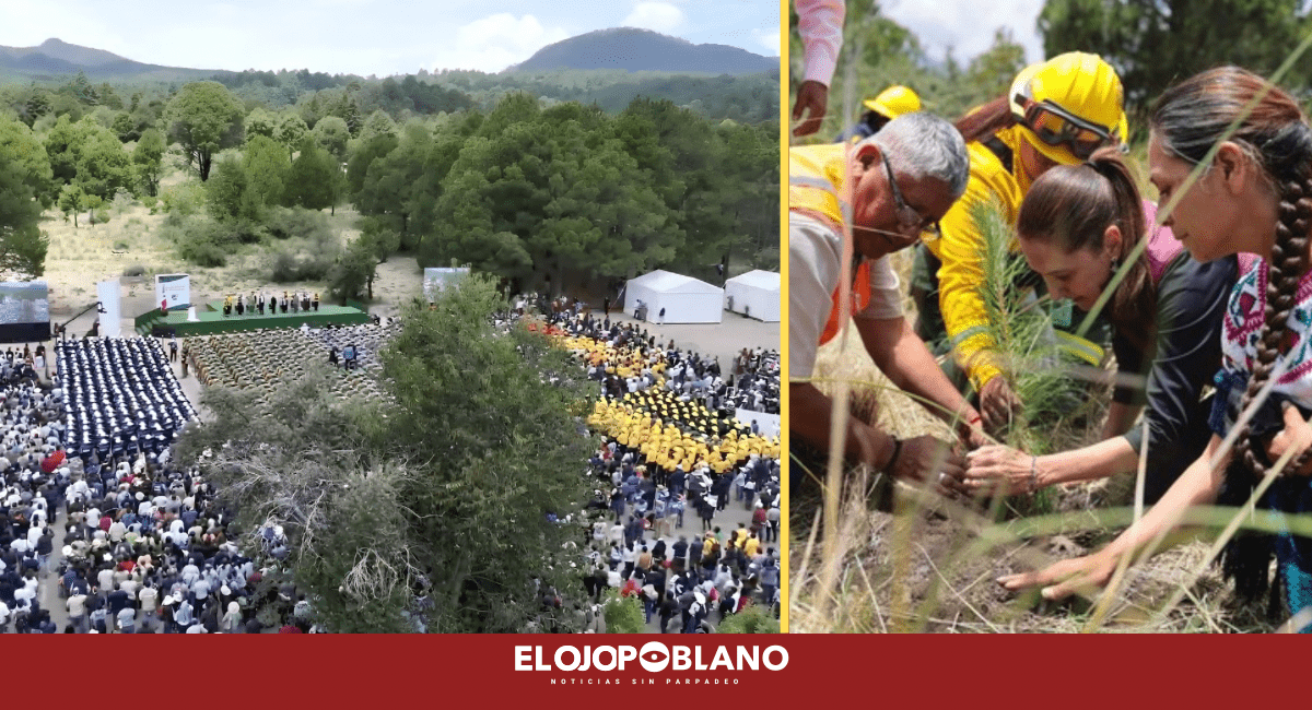 Sheinbaum inicia en Puebla la reforestación de todo México
