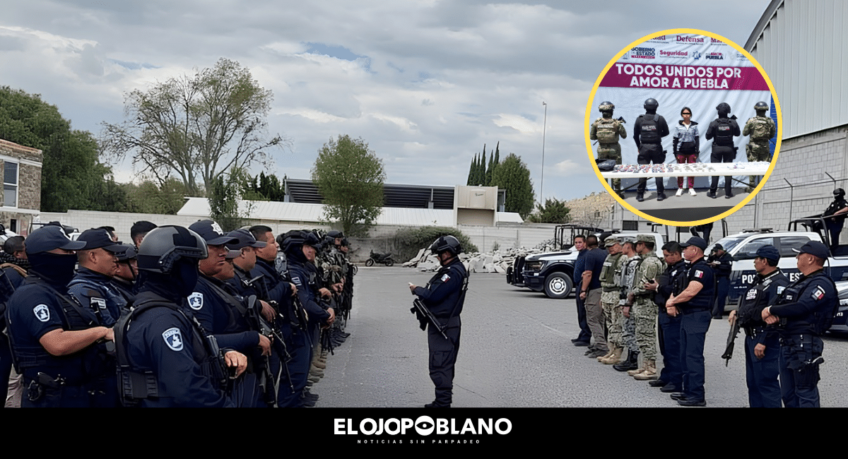 Se les cayó el changarro a Los Pocholos y ya van cinco detenidos
