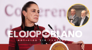 Sheinbaum recuerda a Chedraui: sin permisos, no hay proyecto