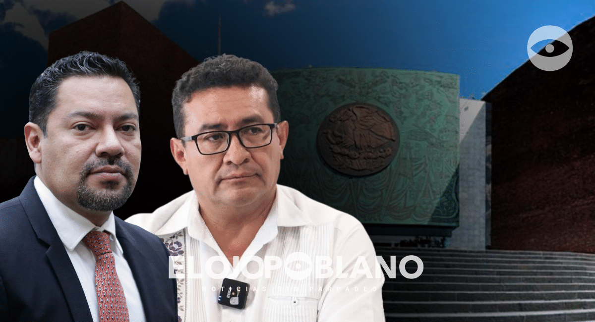Morena apenas dio luz verde y ya empezó el desfile por el hueso