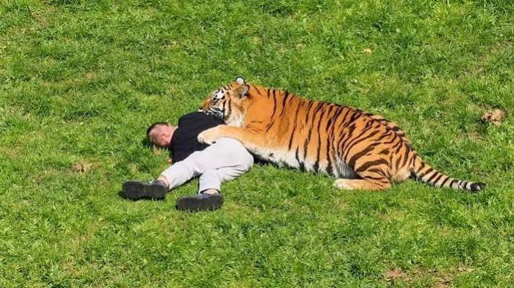 Tigre mata a hombre y Trump demuestra su miseria